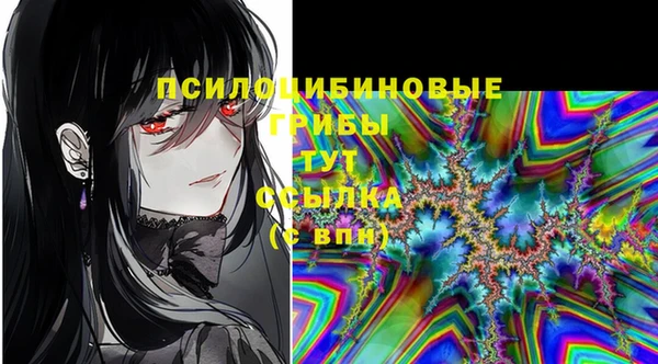 прущий лед Алзамай