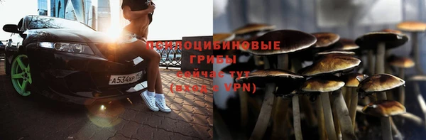 бошки Абдулино