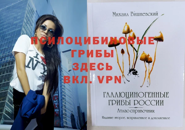 сатива Абинск