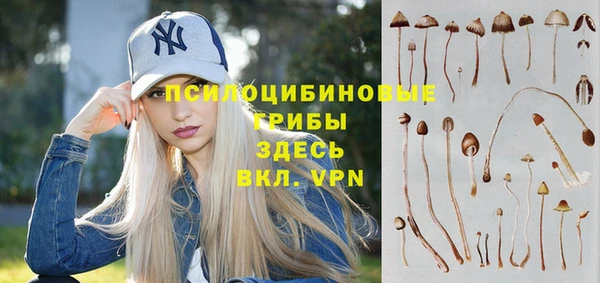бошки Абдулино