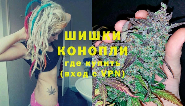 сатива Абинск